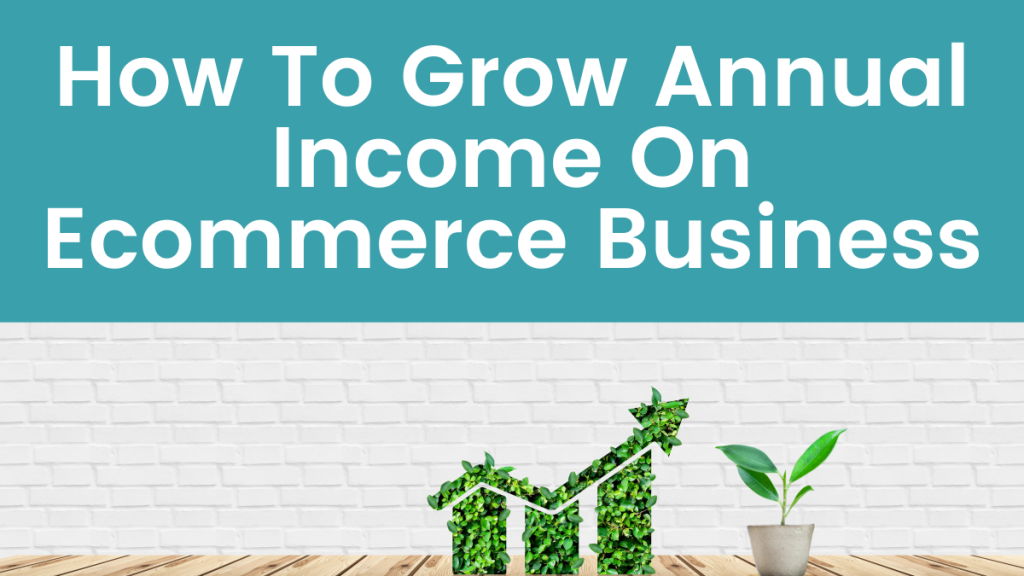 How To Grow Annual Income On E-commerce Business