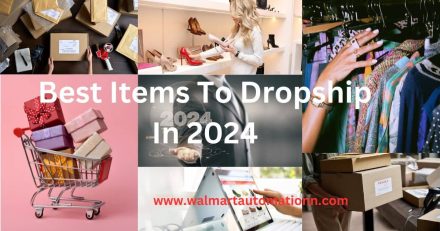Best Items To Dropship In 2024