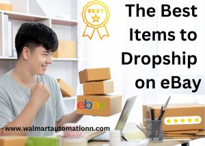 The Best Items to Dropship on eBay
