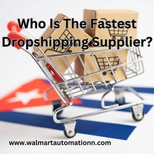 Who Is The Fastest Dropshipping Supplier