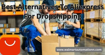 Best Alternatives To Aliexpress For Dropshipping