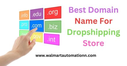 Best Domain Name For Dropshipping Store