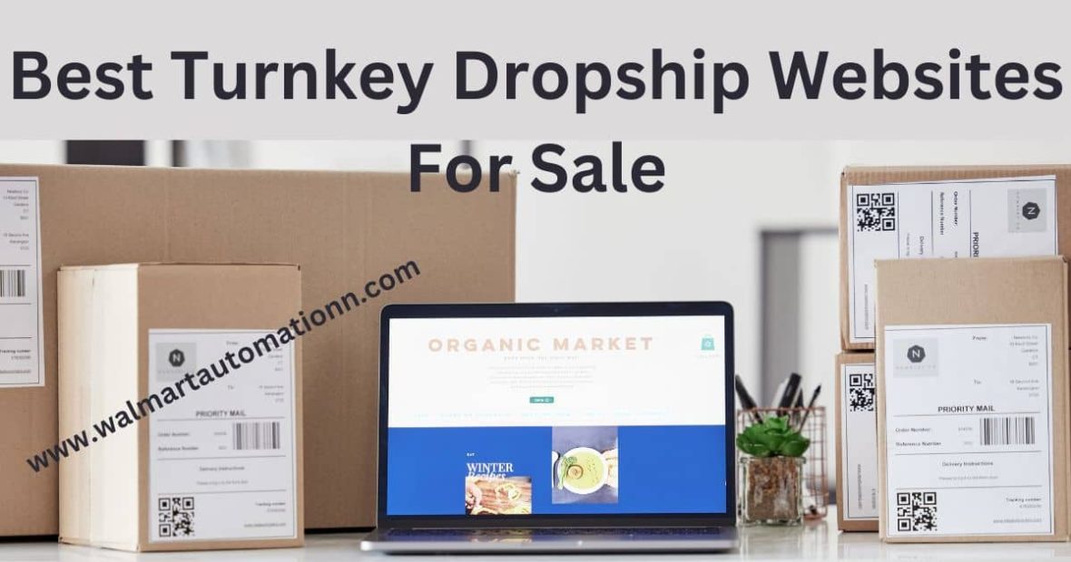 Best Turnkey Dropship Websites For Sale