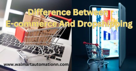 Difference Between E-commerce And Dropshipping