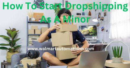How To Start Dropshipping As A Minor