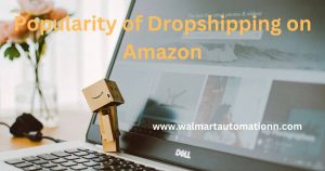 Popularity of Dropshipping on Amazon