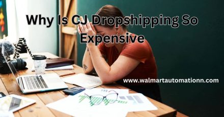 Why Is CJ Dropshipping So Expensive